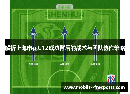 解析上海申花U12成功背后的战术与团队协作策略 解析上海申花U12成功背后的战术与团队协作策略