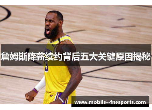 詹姆斯降薪续约背后五大关键原因揭秘 詹姆斯降薪续约背后五大关键原因揭秘