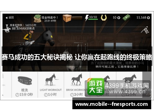 赛马成功的五大秘诀揭秘 让你赢在起跑线的终极策略 赛马成功的五大秘诀揭秘 让你赢在起跑线的终极策略