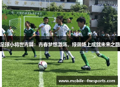 足球小将世青篇:青春梦想激荡,绿茵场上成就未来之路 足球小将世青篇:青春梦想激荡,绿茵场上成就未来之路