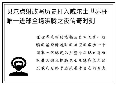贝尔点射改写历史打入威尔士世界杯唯一进球全场沸腾之夜传奇时刻